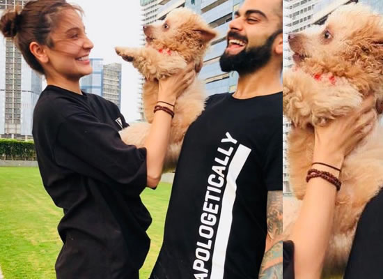 Anushka and Virat's happy moments with a cute puppy! Anushka and Virat's happy moments with a cute puppy!