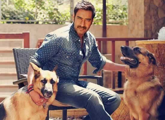 Ajay Devgn mourns the death of his pet dog Coco!