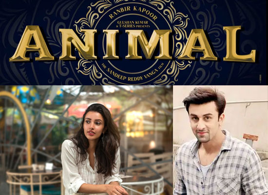 Ranbir Kapoor and Tripti Dimri to unite first time for Sandeep Reddy Vanga's Animal?