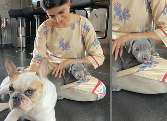 Samantha Akkineni's loveable selfie with her new pet Saasha!