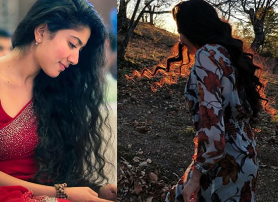 Nayanthara, Sai Pallavi and more South Indian actresses with most lustrous  hair; check their beauty secrets