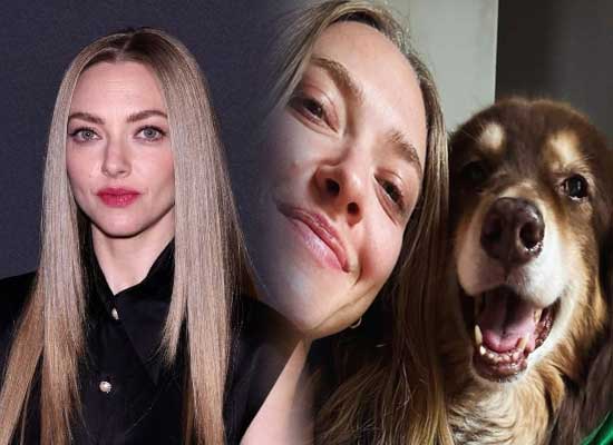 Amanda Seyfried opens up on her decision to leave Hollywood!