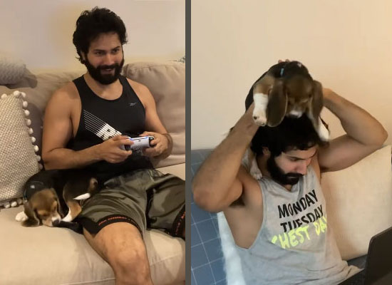 Varun Dhawan's loveable moments with his furry friend!
