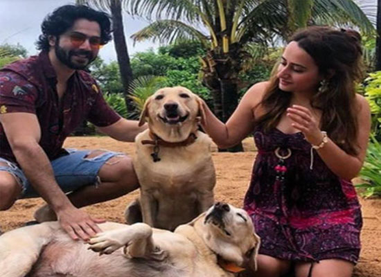Varun Dhawan and Natasha Dalal to share about their love for dogs!